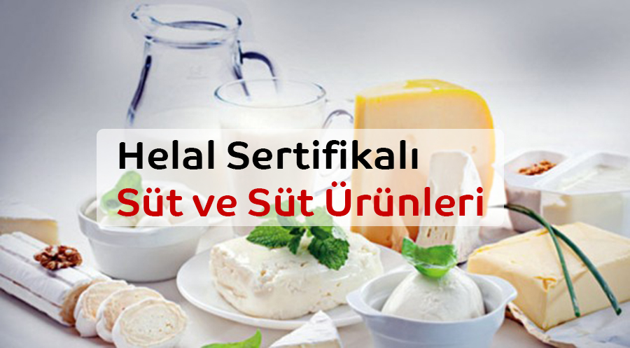 helal peynir yogurt sut