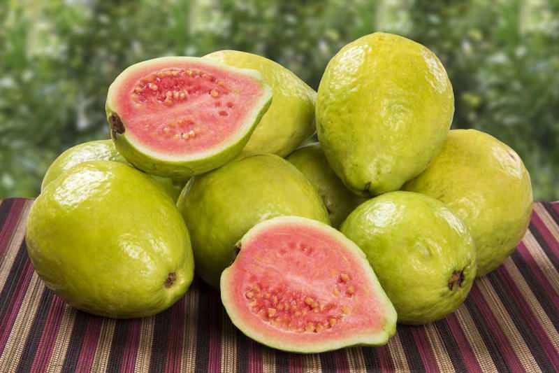 guava kalori